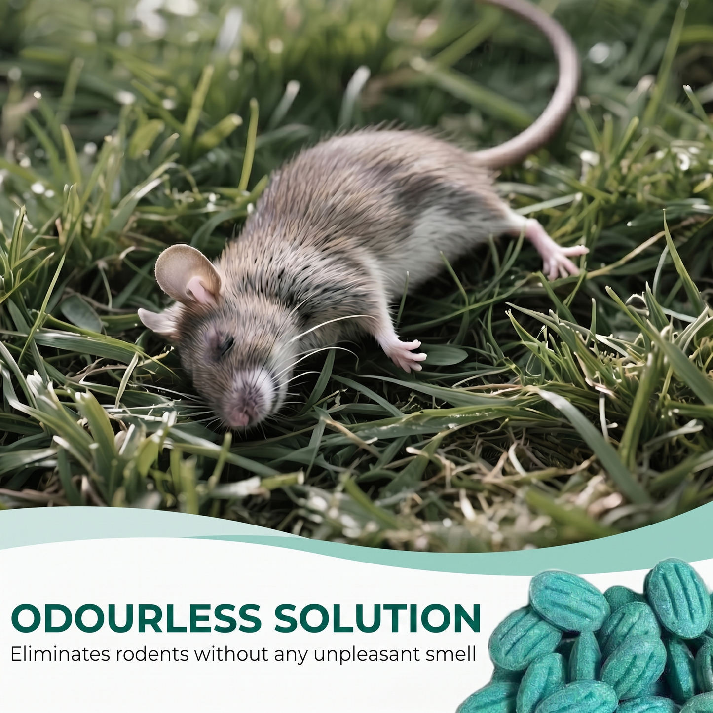 RatFree™ – Professional-Grade Rat & Mouse Control