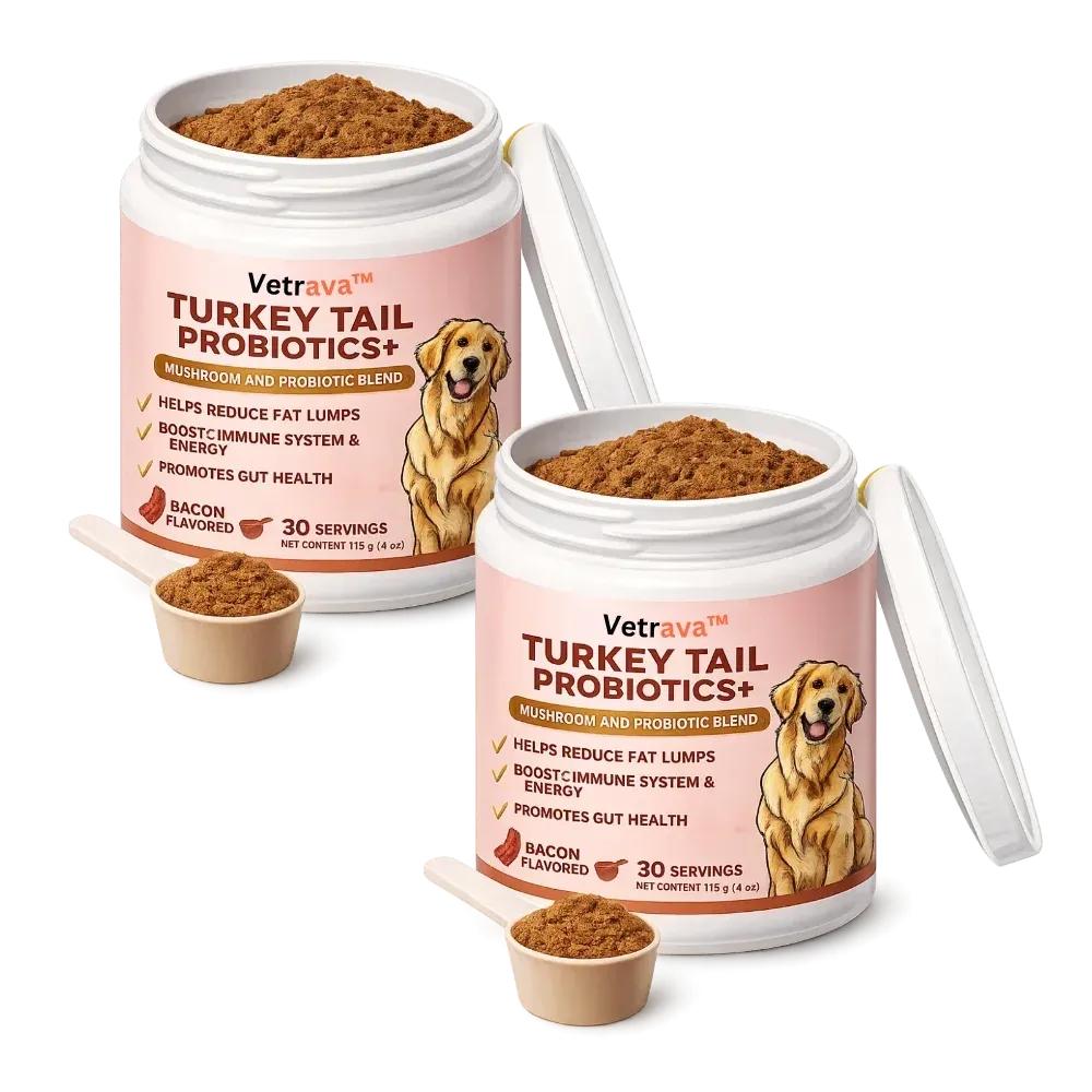 Vetrava™ Probiotics for Dogs