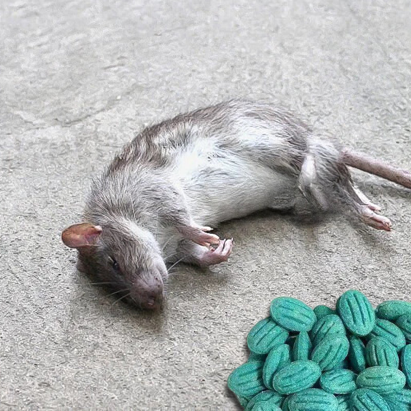 RatFree™ – Professional-Grade Rat & Mouse Control